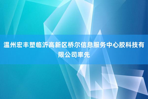 温州宏丰塑临沂高新区桥尔信息服务中心胶科技有限公司率先