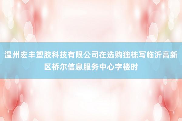 温州宏丰塑胶科技有限公司在选购独栋写临沂高新区桥尔信息服务中心字楼时